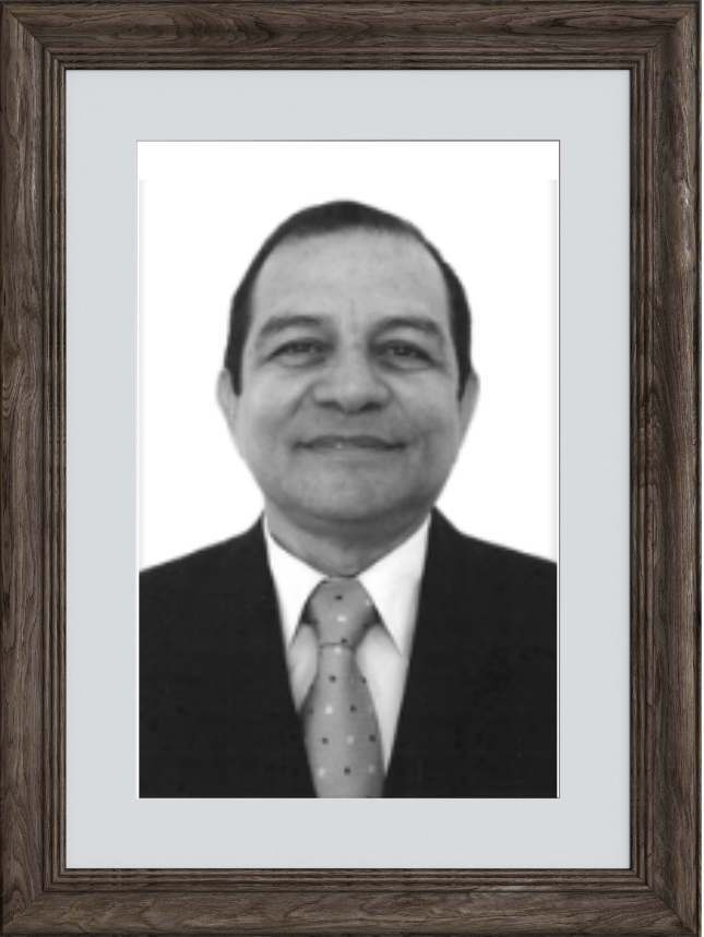 EDSON DE ARAÚJO SILVA